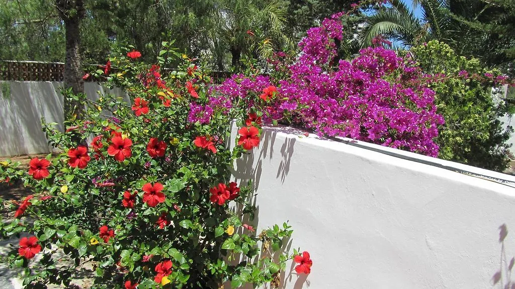 Villa Ca Daniela San Antonio  Spain