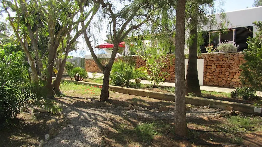 Villa Ca Daniela San Antonio